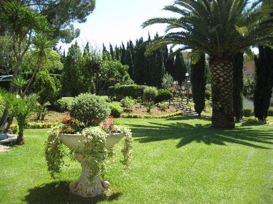 Parco Tirreno Lägenhetshotell *